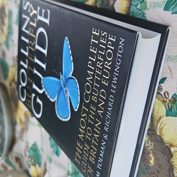 Collins Butterfly Guide - Picture 4 of 4